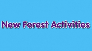 New Forest Activities